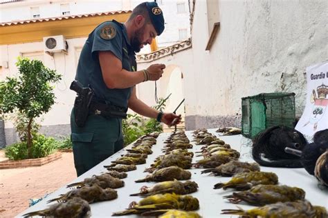 slumi en marbella|Investigan a un vecino de Marbella por extorsionar a clientes de ...